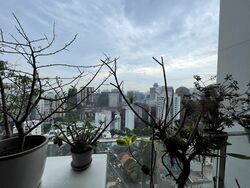 Scotts Square (D9), Apartment #465951991